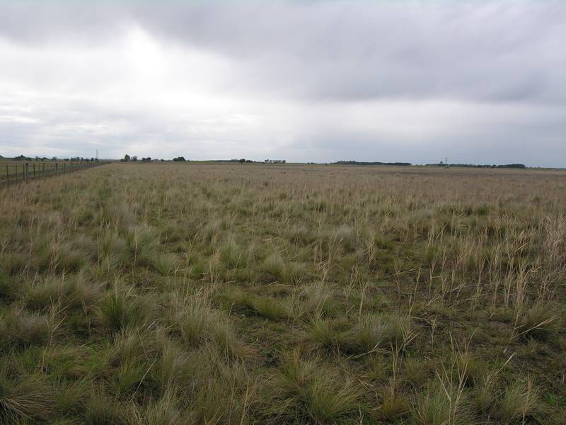 24.28HA ( 60 Acres ) PADDOCK AT CLYDEBANK Picture 3