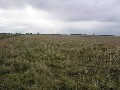 24.28HA ( 60 Acres ) PADDOCK AT CLYDEBANK Picture
