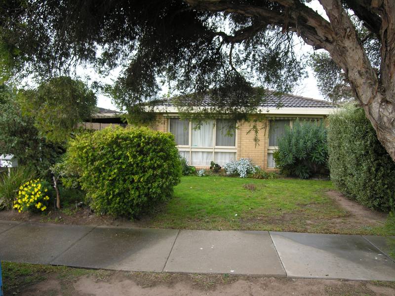 MUCH MORE THAN MEETS THE EYE Picture 1