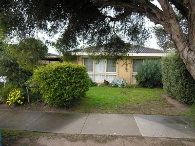 MUCH MORE THAN MEETS THE EYE Picture