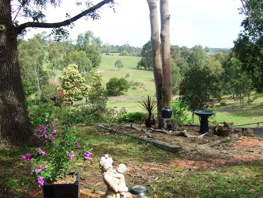 The Best of Nature! Picture 1