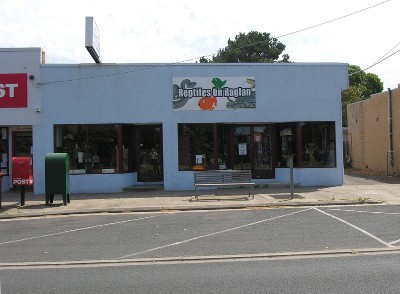 BRILLIANT SHOP Picture BRILLIANT SHOP Picture