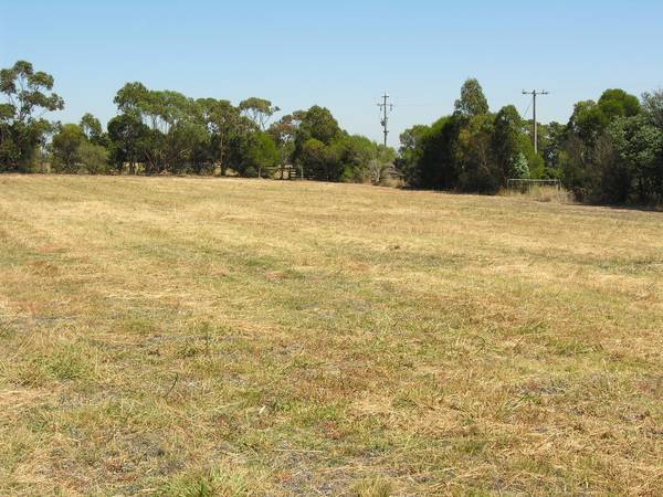 AN ACRE BLOCK WITH TREELINED BOUNDARIES Picture 2