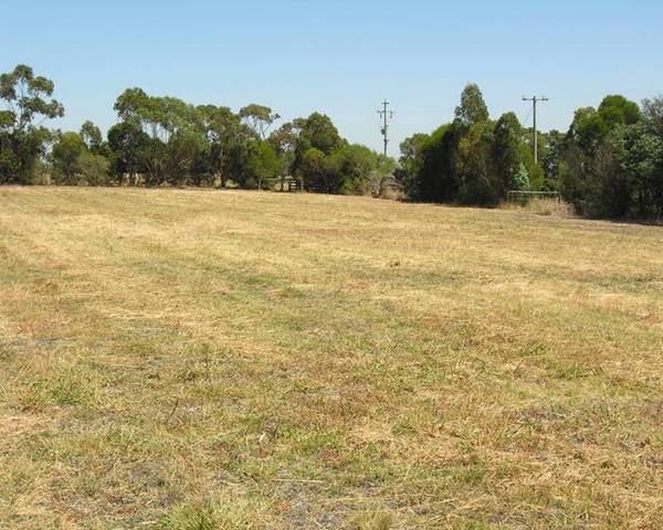 AN ACRE BLOCK WITH TREELINED BOUNDARIES Picture 3