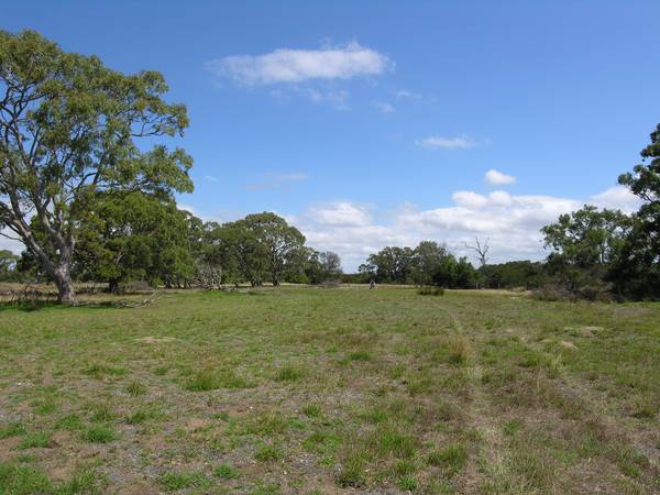 YOU COULD BE IN THE MIDDLE OF NOWHERE Picture 3