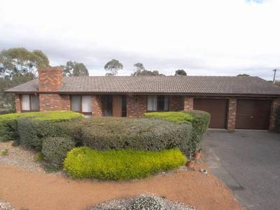 FAMILY FAVORITE!! Picture