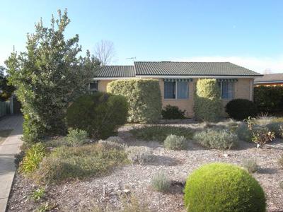 Options and Oportunities. Picture