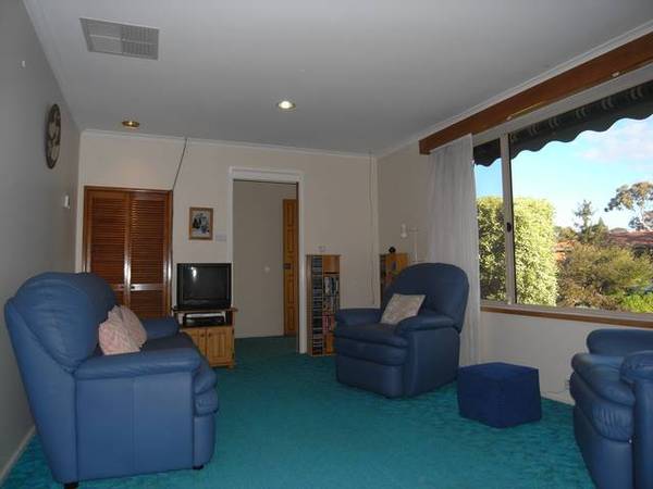 Options and Oportunities. Picture 2