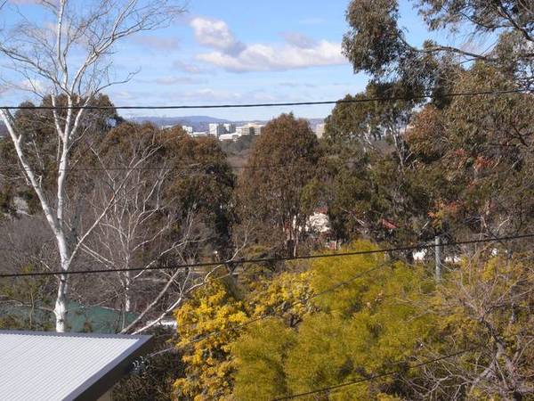 A GOLDEN OPPORTUNITY Picture 2