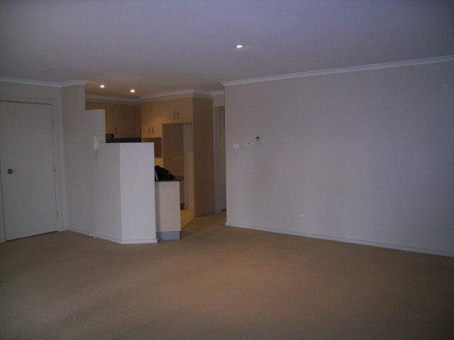 HEAD TURNER Picture 3