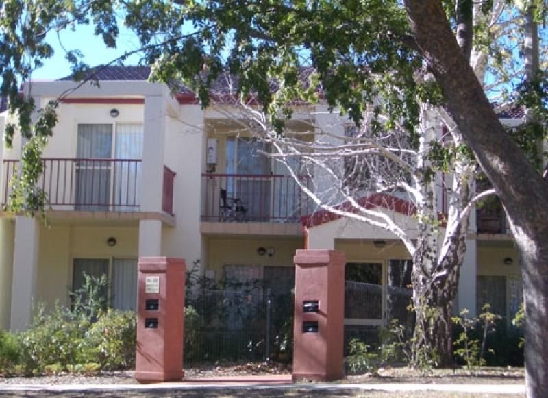 HEAD TURNER Picture 1