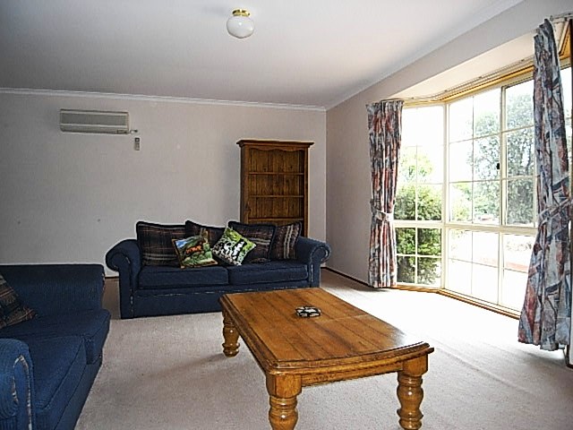 BRINDA - BEAUTY Picture 3