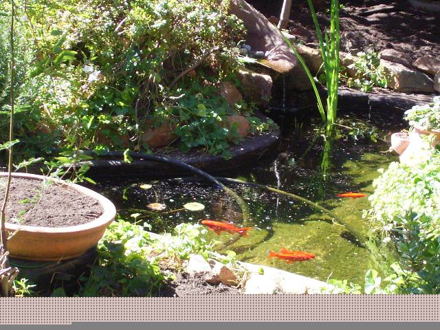 First Home Buyers Delight Picture 3