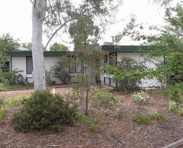 ATTENTION INVESTORS! Picture 1