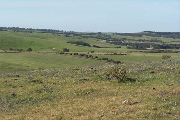 AUCTION SATURDAY 25TH JULY 09 @ 1PM (AGENT ON-SITE 12.30PM) Picture 3