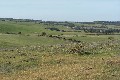 AUCTION SATURDAY 25TH JULY 09 @ 1PM (AGENT ON-SITE 12.30PM) Picture
