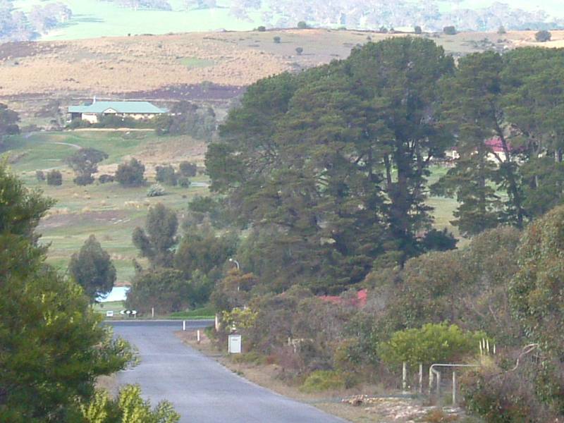 THE BIRDS, THE BEES, THE BEAUTIFUL TREES! Picture 1