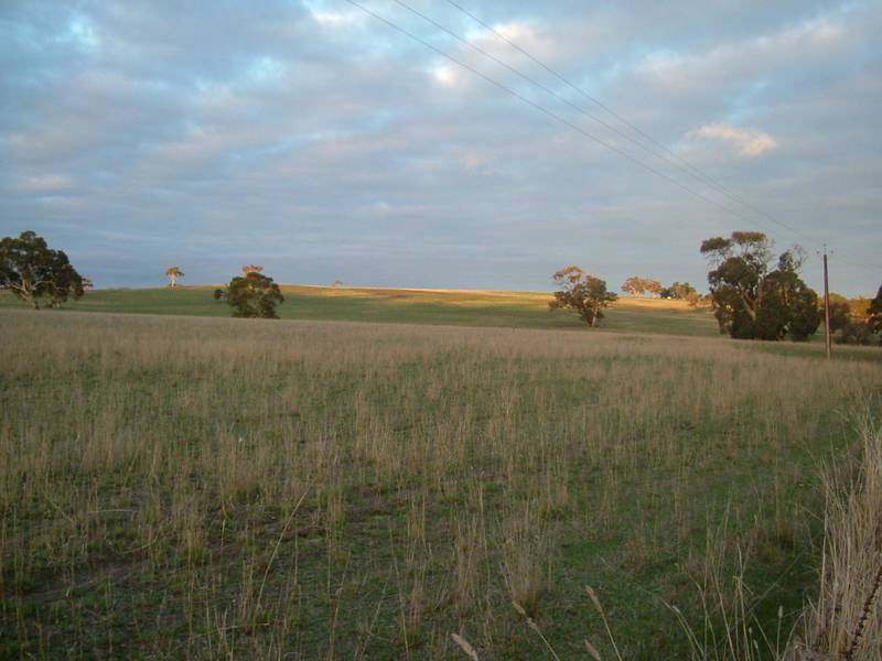 Lifestyle Acreage Not to big, Not to small! Picture 1