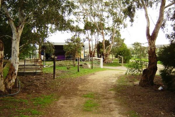 Views To The Horizon Picture