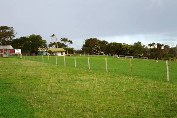 Views To The Horizon Picture