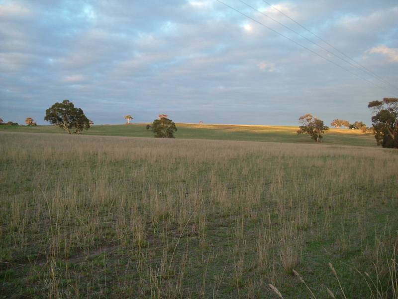 Lifestyle Acreage Not to big, Not to small. . . . Picture 2