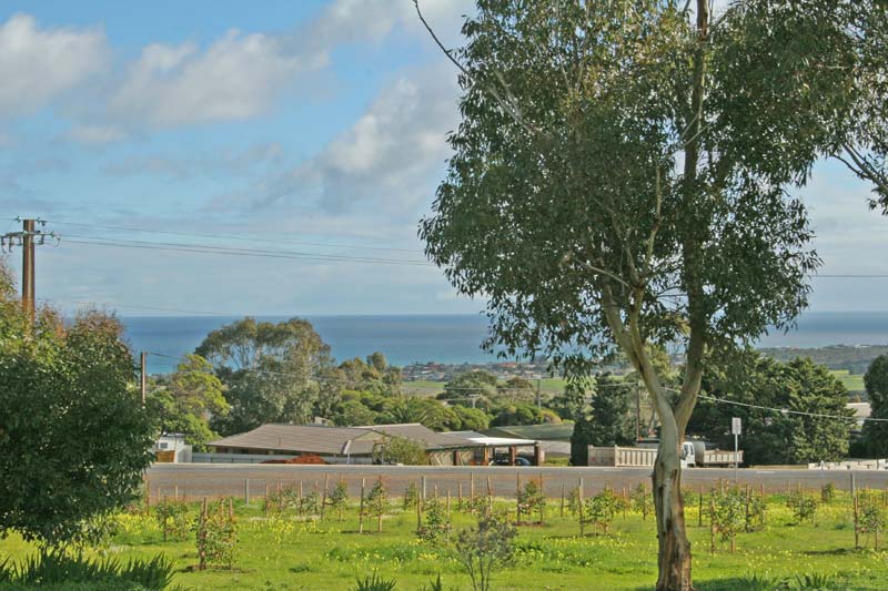 ONKA VIEW RANCH Picture 3