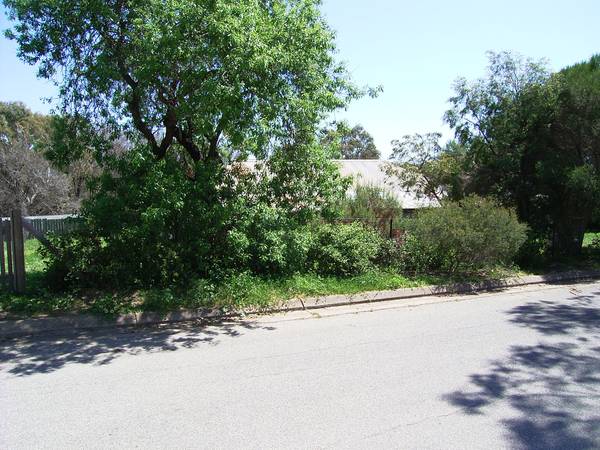 Look No Further....! Picture