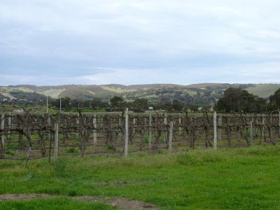 WHITES VALLEY WILLUNGA Picture