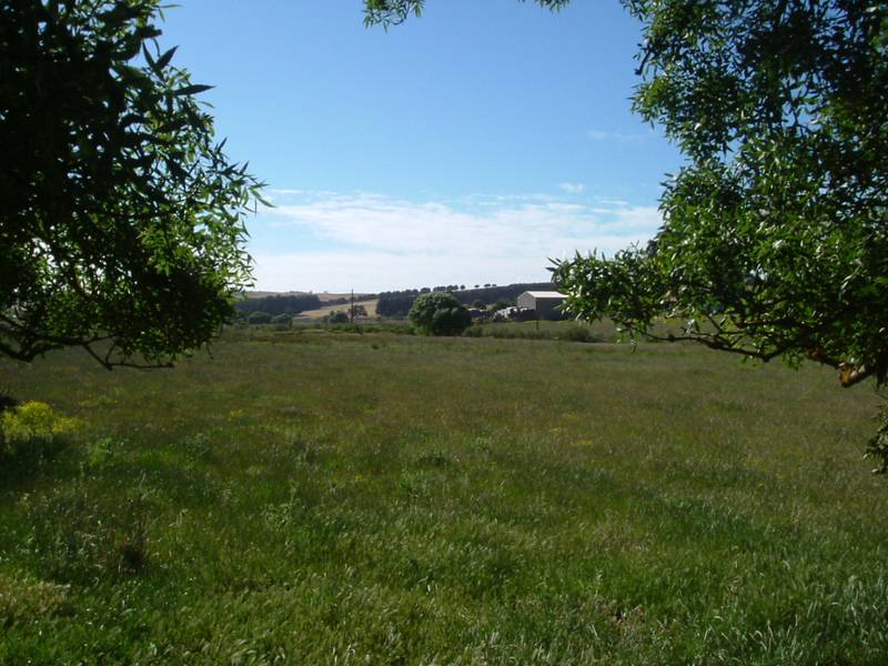 A CHOICE OF 4 RURAL
LIFESTYLE BLOCKS Picture 3