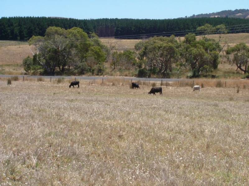 VENDOR'S
INSTRUCTIONS ARE TO SELL! Picture 3