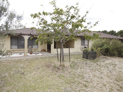 ROMANO ESTATE Picture