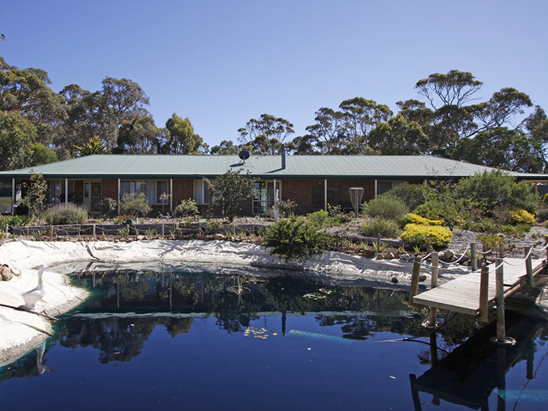 GOLDEN HAZE Picture 1