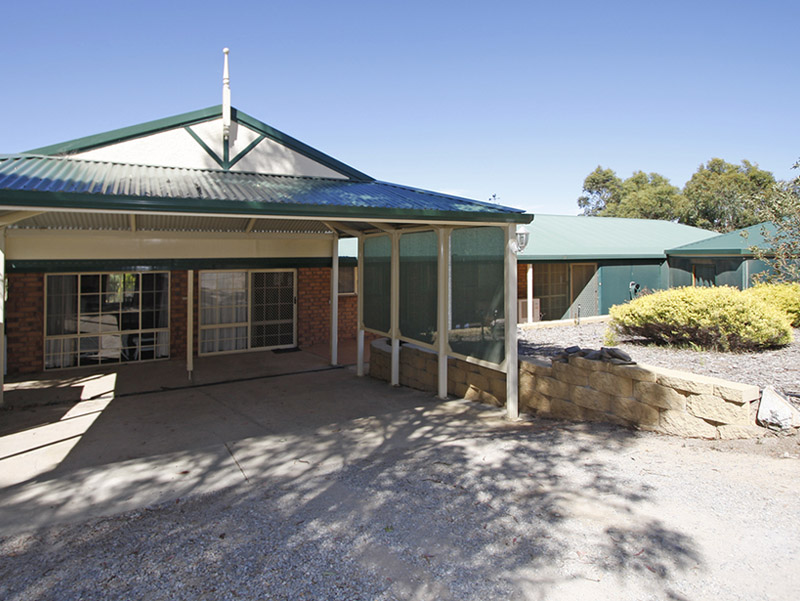 GOLDEN HAZE Picture 3