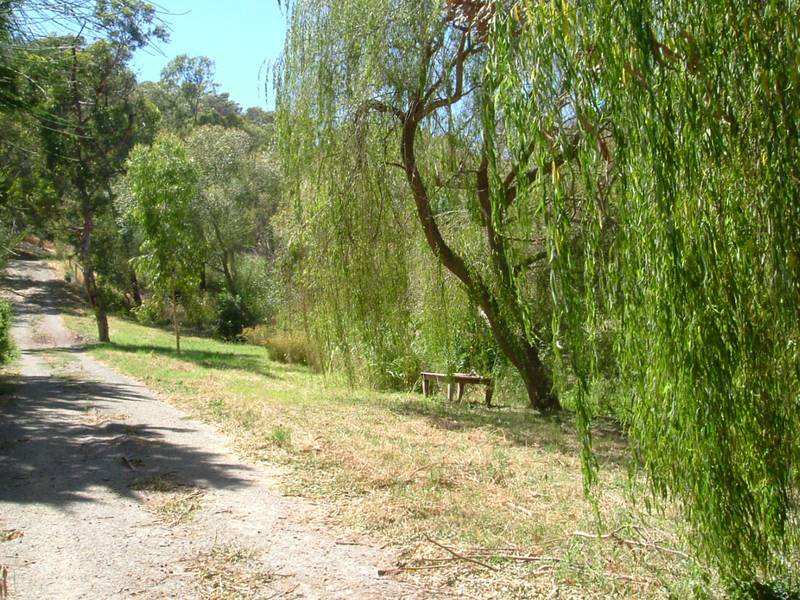 Way Up High Picture 3