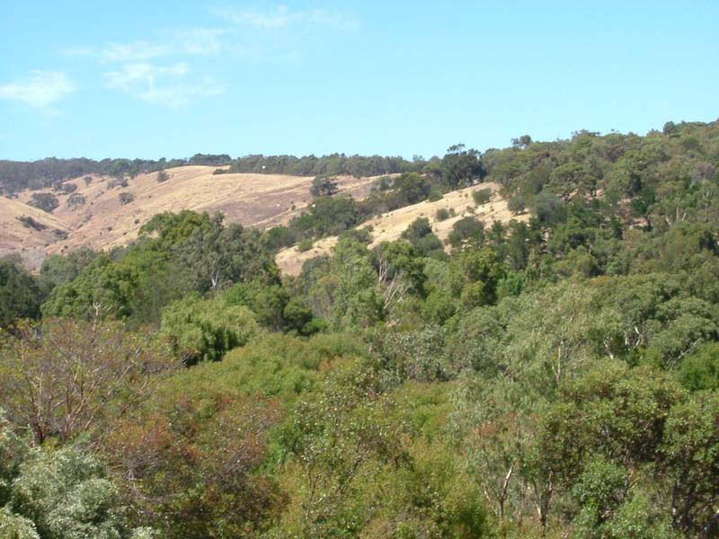 Way Up High Picture 2