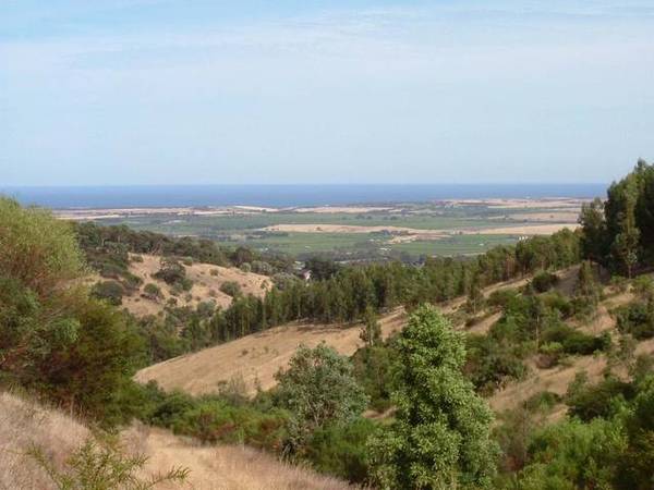 Commanding Location - Exciting Potential Picture 2