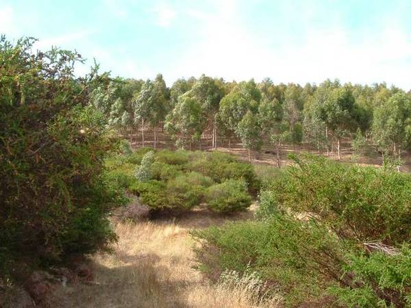 Commanding Location - Exciting Potential Picture 3