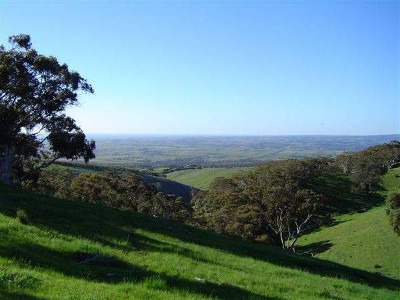 Commanding Location - Exciting Potential Picture