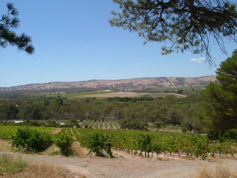 IS THIS THE HOUSE SITE YOU'RE AFTER? Picture 1