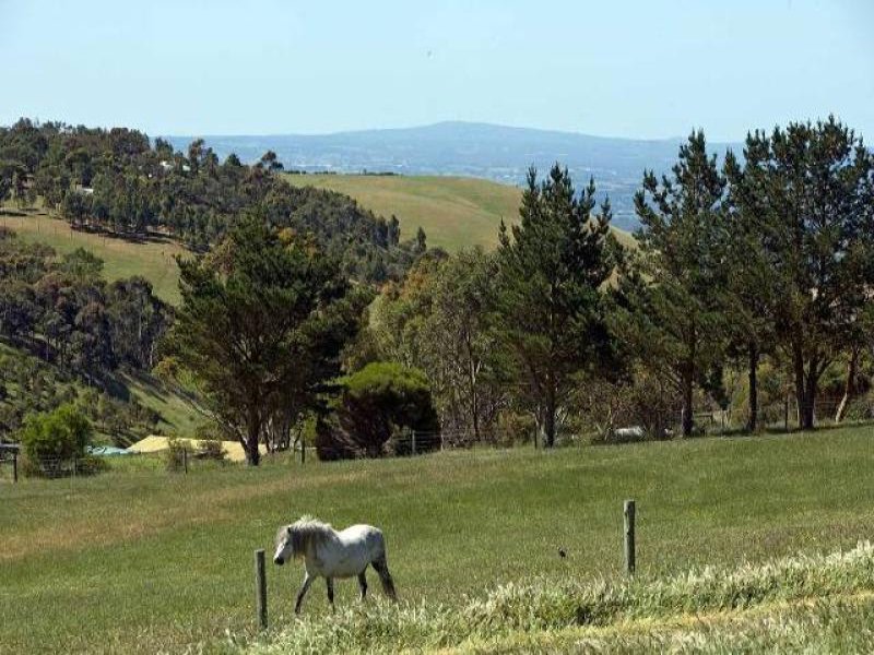 CALL NOW FOR AN INSPECTION Picture