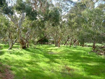 'COLES' Picture 'COLES' Picture