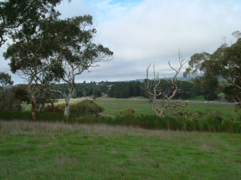 BUILD YOUR OWN CASTLE Picture 1