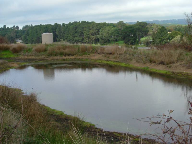 BUILD YOUR OWN CASTLE Picture 2