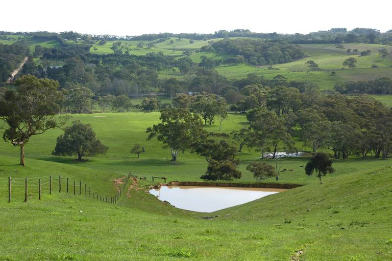 'Heaven On Earth' Picture 1