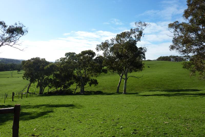 'Heaven On Earth' Picture 3