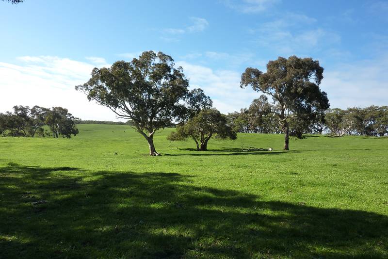 'Heaven On Earth' Picture 2