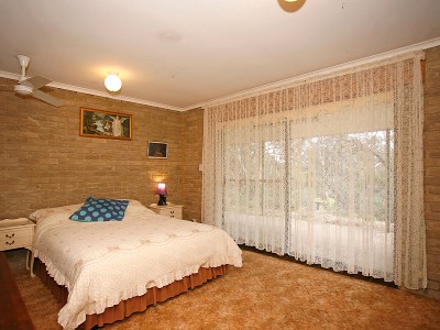 Nature at its best! Picture Nature at its best! Picture