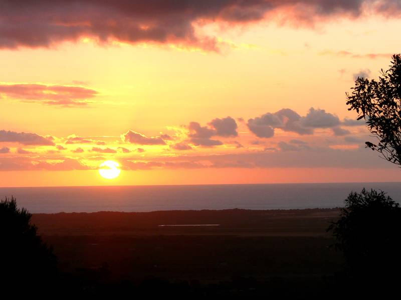 "Evening Breeze" Picture 2