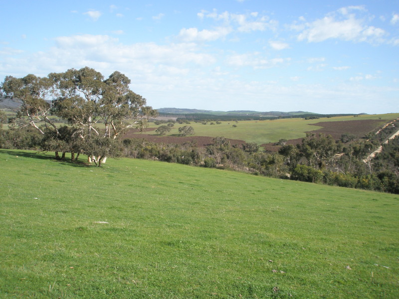 Small Acreage - Picturesque Views Picture 2