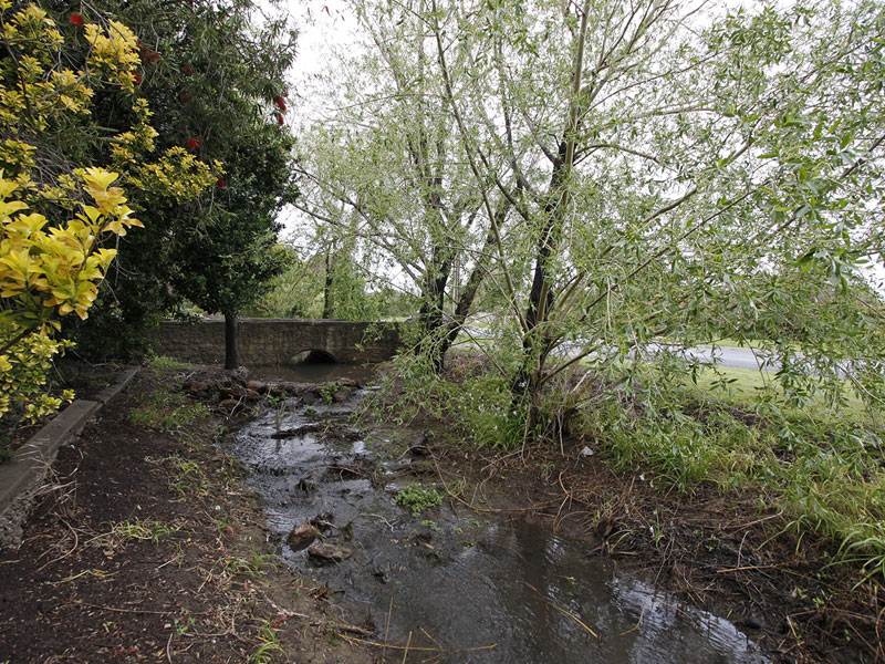 Top Location + Big Block + Creek Frontage + Great Home Picture 3